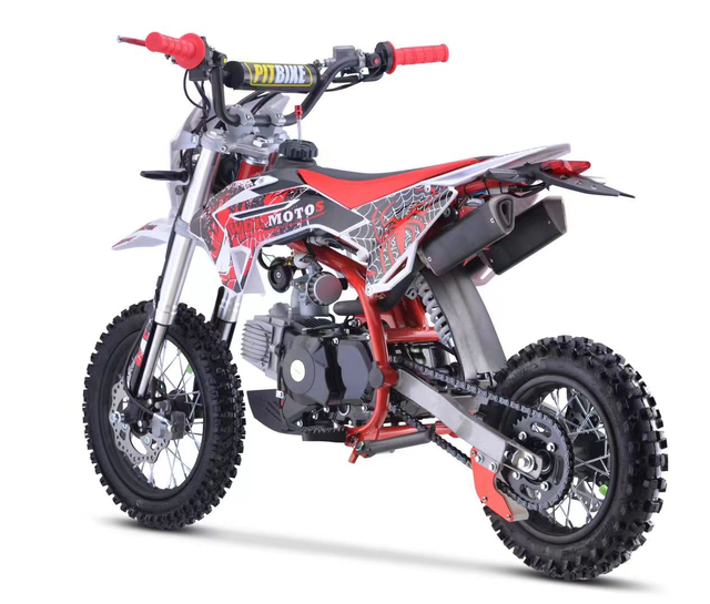 DB-100 110 Dirt Bike