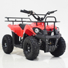 49CC 800w China Import Atv Kids Quad Bikes