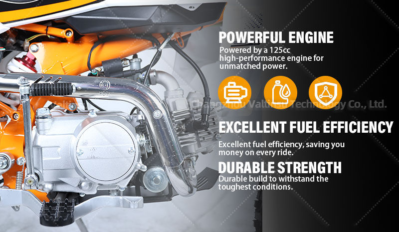 125cc-Dirt-Bike-DB101-3