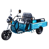 12 Inch High Speed 60V 800W Electric Cargo Tricycle