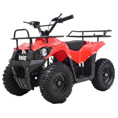 49CC 800w China Import Atv Kids Quad Bikes