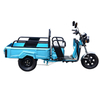 12 Inch High Speed 60V 800W Electric Cargo Tricycle