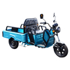 12 Inch High Speed 60V 800W Electric Cargo Tricycle