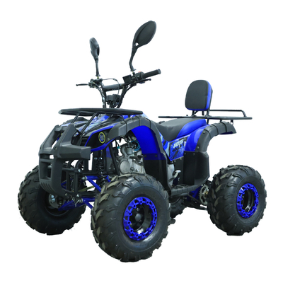 125cc Kids Aldult Quad Bike Gasoline ATV
